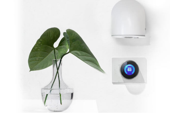Image of sensor, thermostat, light and leaf